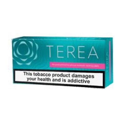 Terea Oasis Ermenistan (1 Karton)